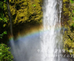【ハワイ島一周（２）】アカカの滝